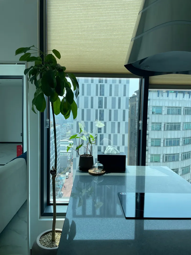 [Jung-gu, Seoul] A two-story, wide, high window with a view of Namsan and Inwangsan, Euljiro and Dongdaemun Station 13