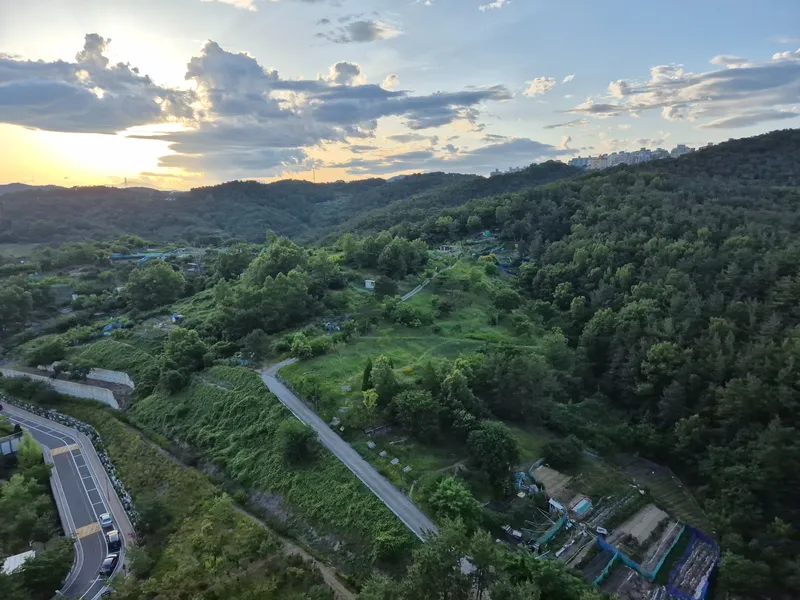 [울산 중구] 혁신도시 태화강국가정원 22