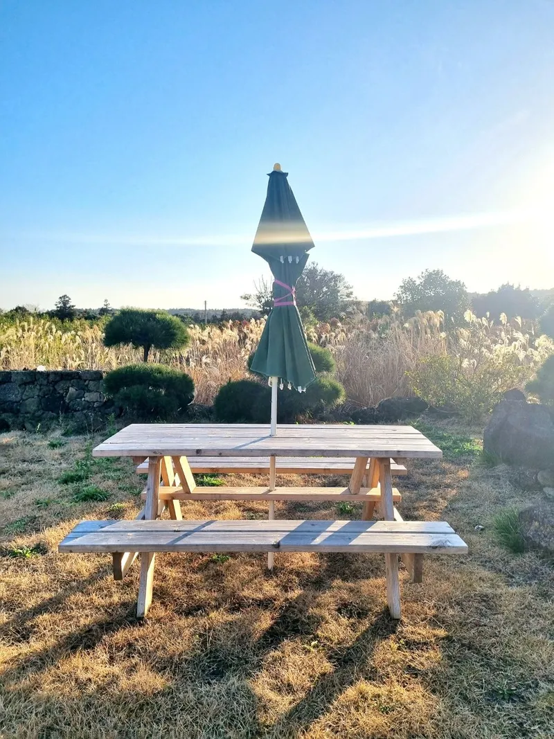 [Seongsan, Seogwipo] Seongsan-eup One-room for a Month - Seongsan Sunrise Peak/Seopjikoji 10 minutes by car 10