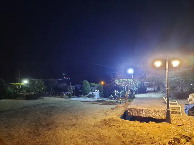 [전남 곡성] 섬진강 기차마을 대나무숲 마당넓은 애견동반 오직 한팀 펜션 113