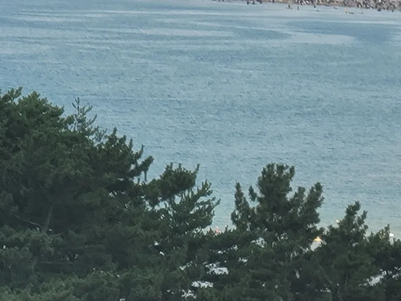 [강원 양양] 현남면 분리형 원룸 아파트 26