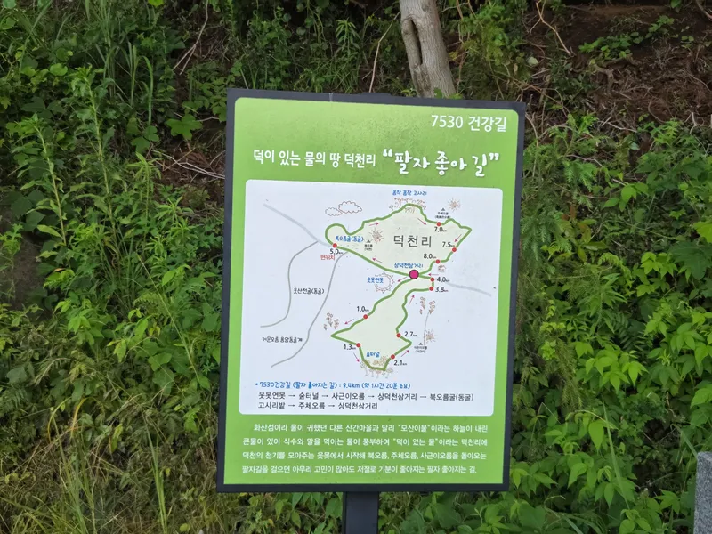 [제주 구좌] 신축3년된방5개1/2층게스트만 전체사용 71