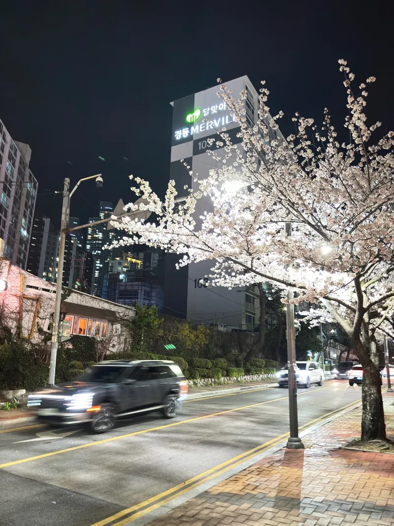 [부산 해운대] 달맞이길 오션뷰가 보이는 대형 평수 34