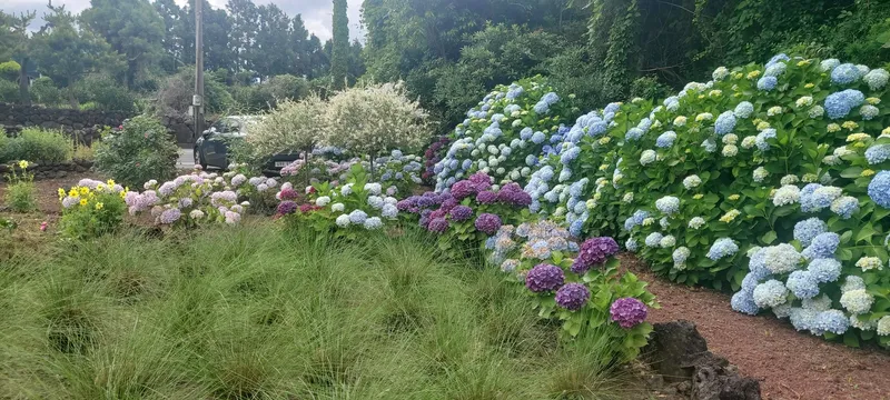[Andeok, Seogwipo] A pension with a beautiful garden 12