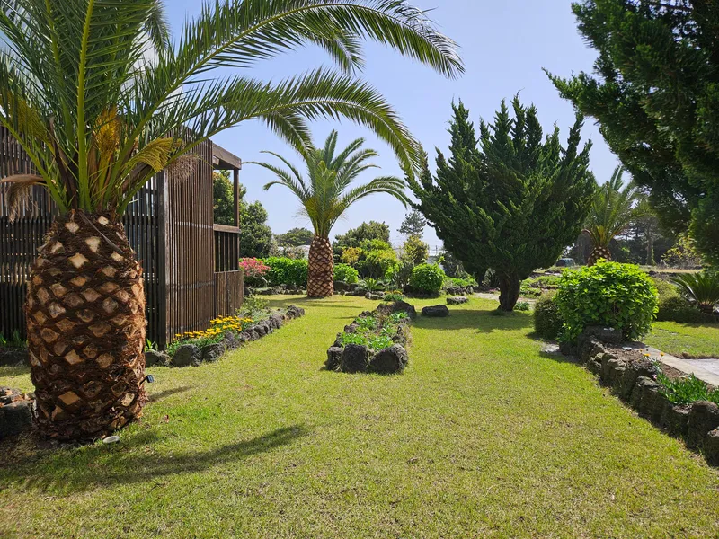 [Seongsan, Seogwipo] One-room house in the countryside with a beautiful garden and terrace, room 102 9