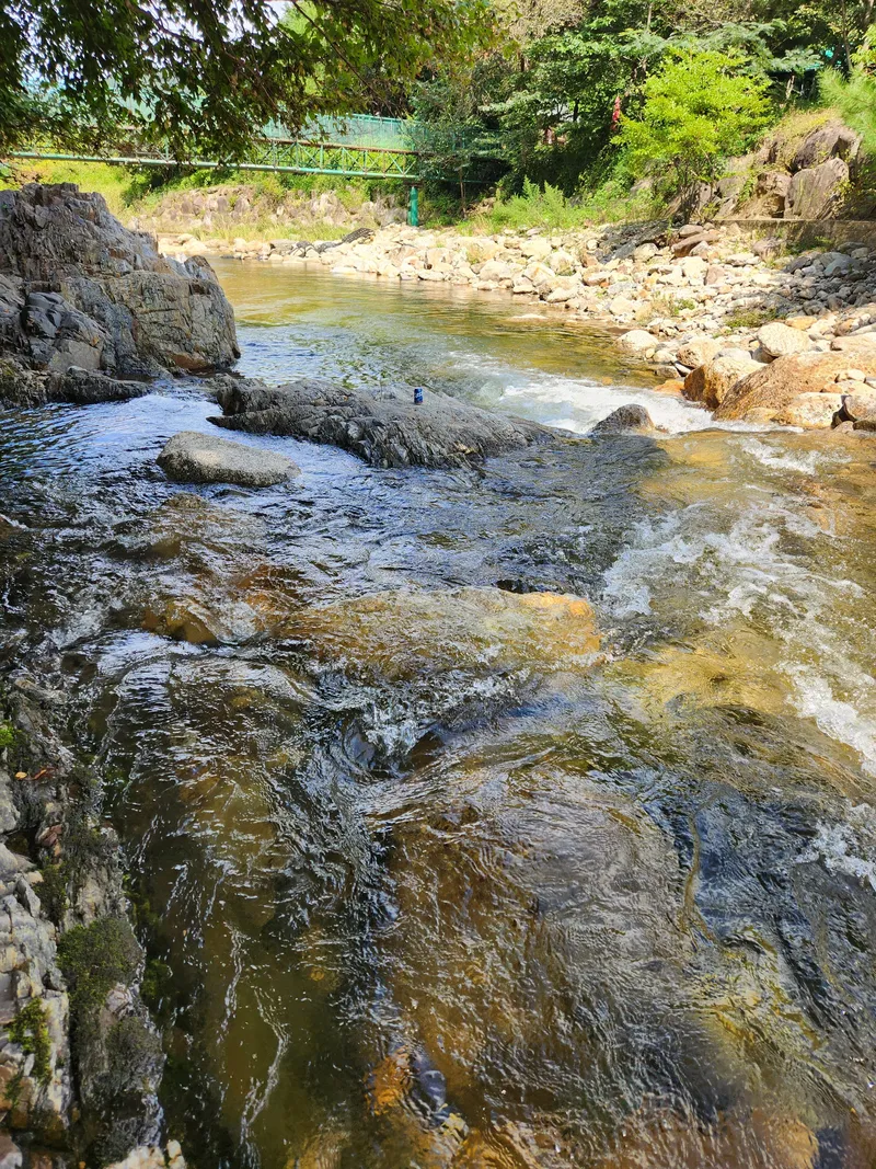 [Yeongdong] Clean valley upstream of Mulhan Stream/Rural life/Best forest area 7