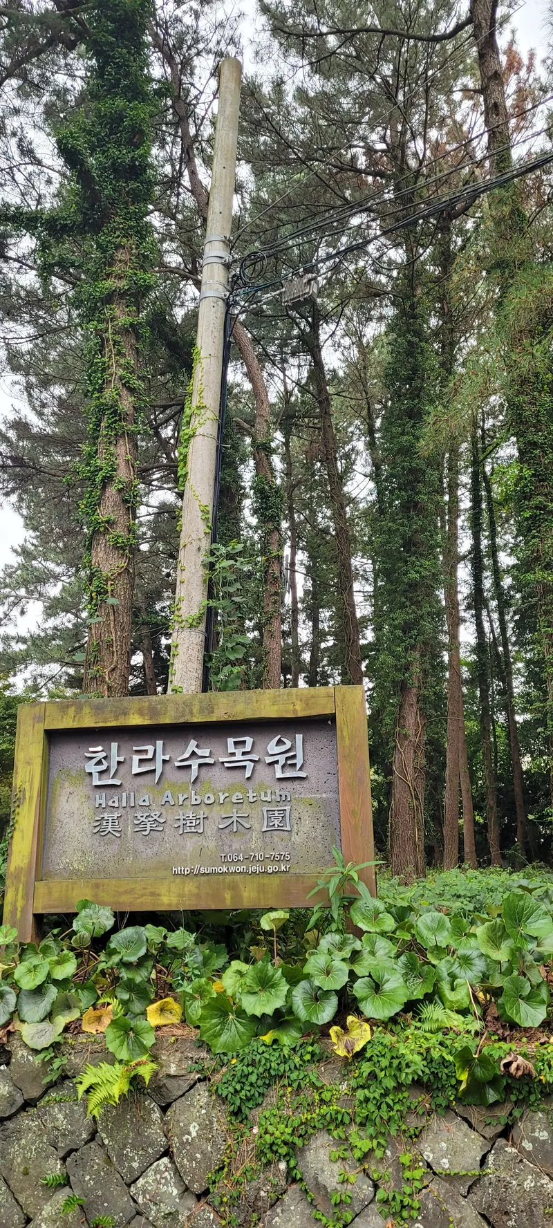 [Yeon-dong, Jeju] 3-room city ocean view apartment, 10 minutes from Yeondong Airport 18