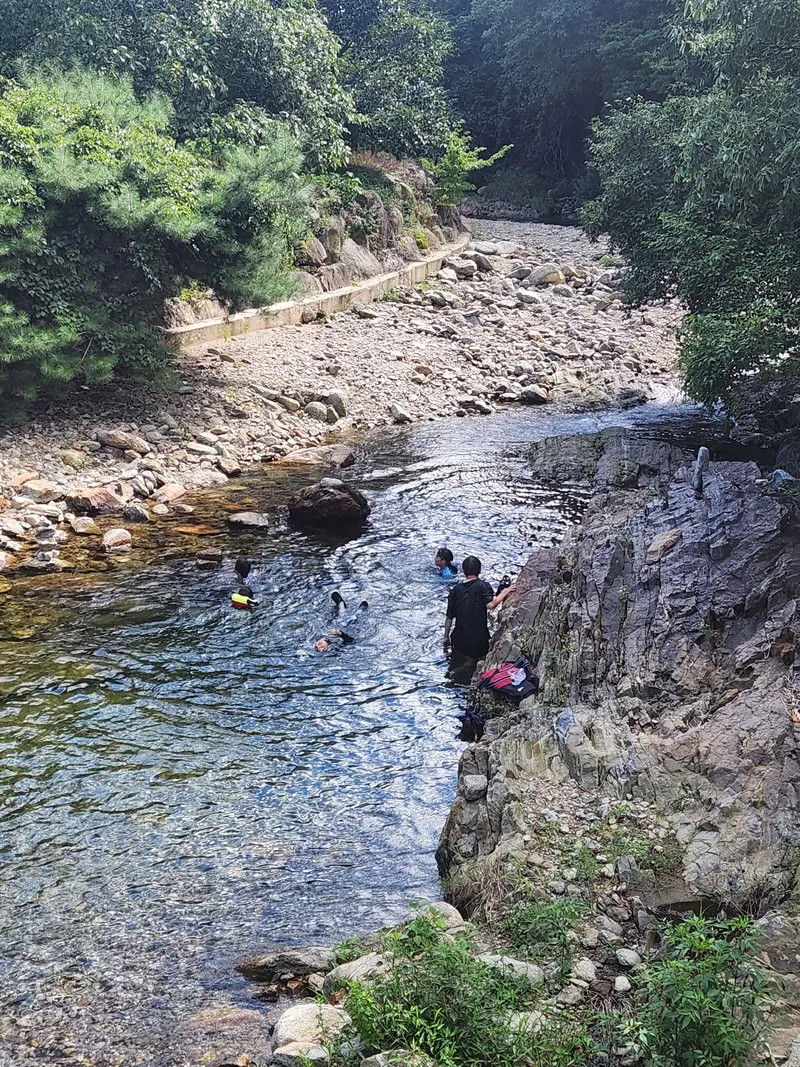 [Yeongdong] Clean valley upstream of Mulhan Stream/Rural life/Best forest area 12