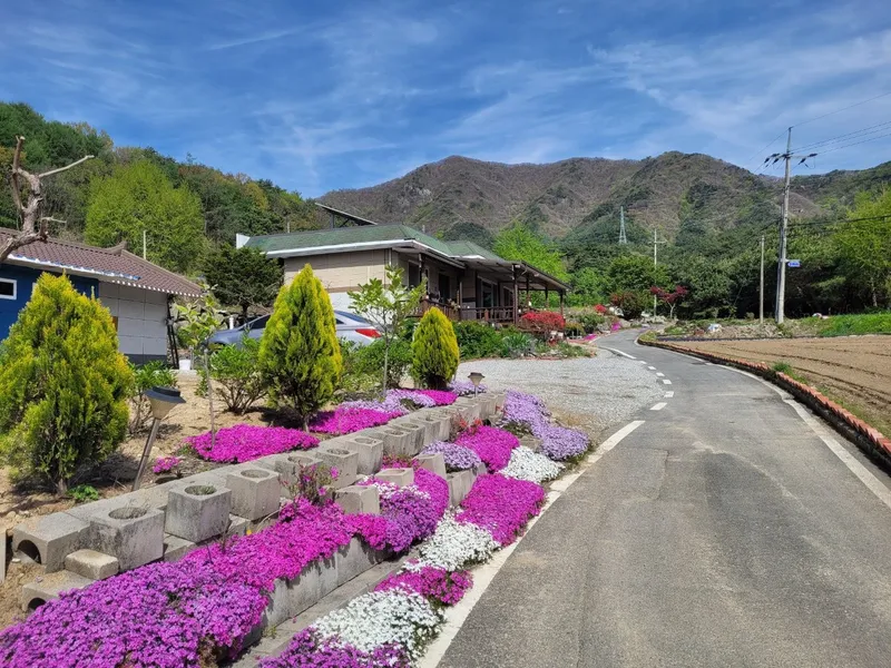 [충북 충주] 아늑한  감성독채 ,자연 속 힐링 독채펜션 동충주IC에서7분 27