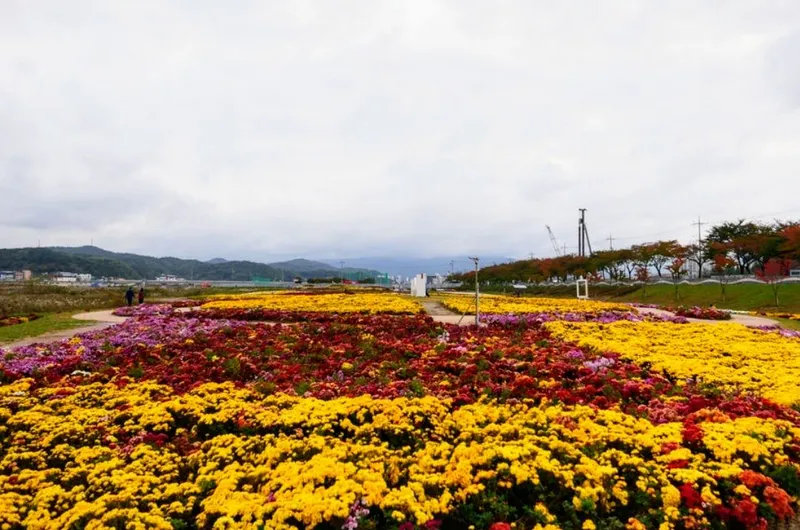[Yangyang] Naksan Beach Sunrise #Seoraksan Mountain Sunset #Namdaecheon Riverside Trail & Water Sports 43