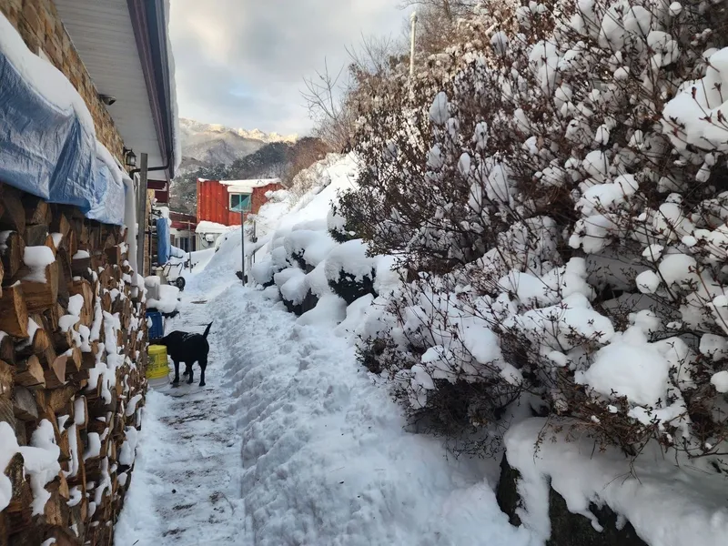[Hoengseong] High-class three-room detached house in Chiaksan Bugok National Park #Pets allowed 17