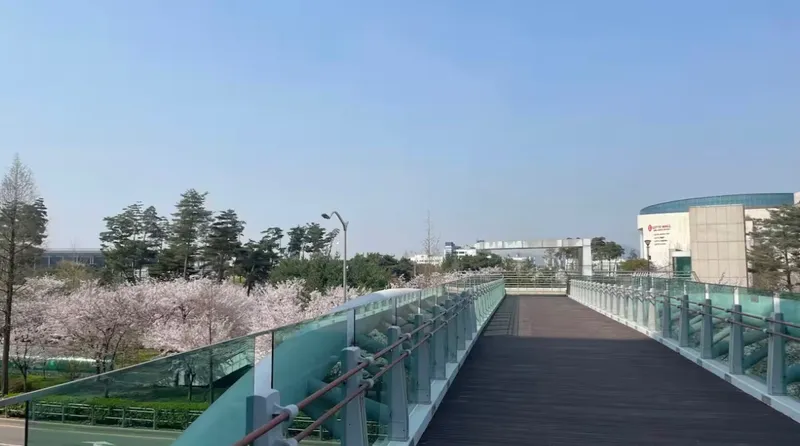 [서울 강서] 김포공항10분 양창형 12