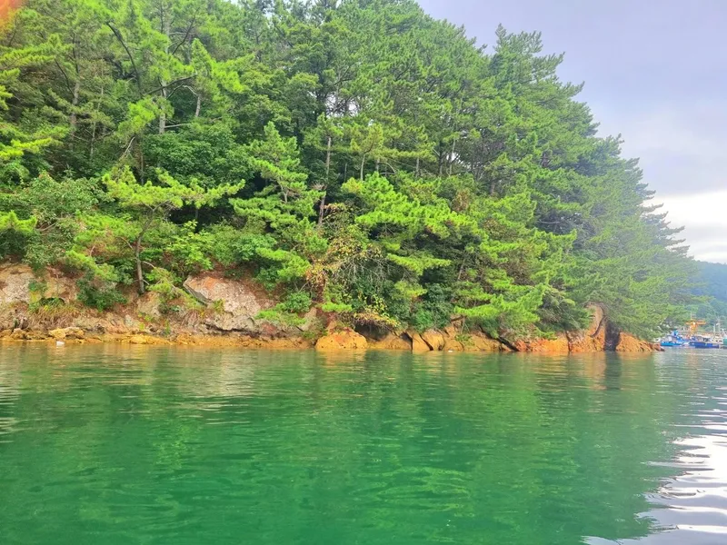 [Tongyeong] # Private, spacious, emotional detached house # Mountain and sea leisure activities # Yard fishing 21