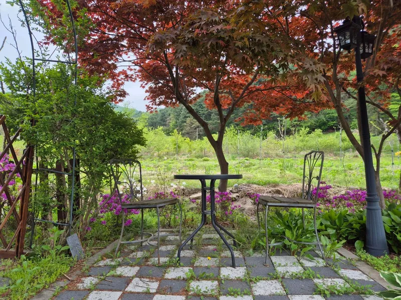 [경기 양평] 두물머리IC 10분 숲이 보이는 쓰리룸 독채 59