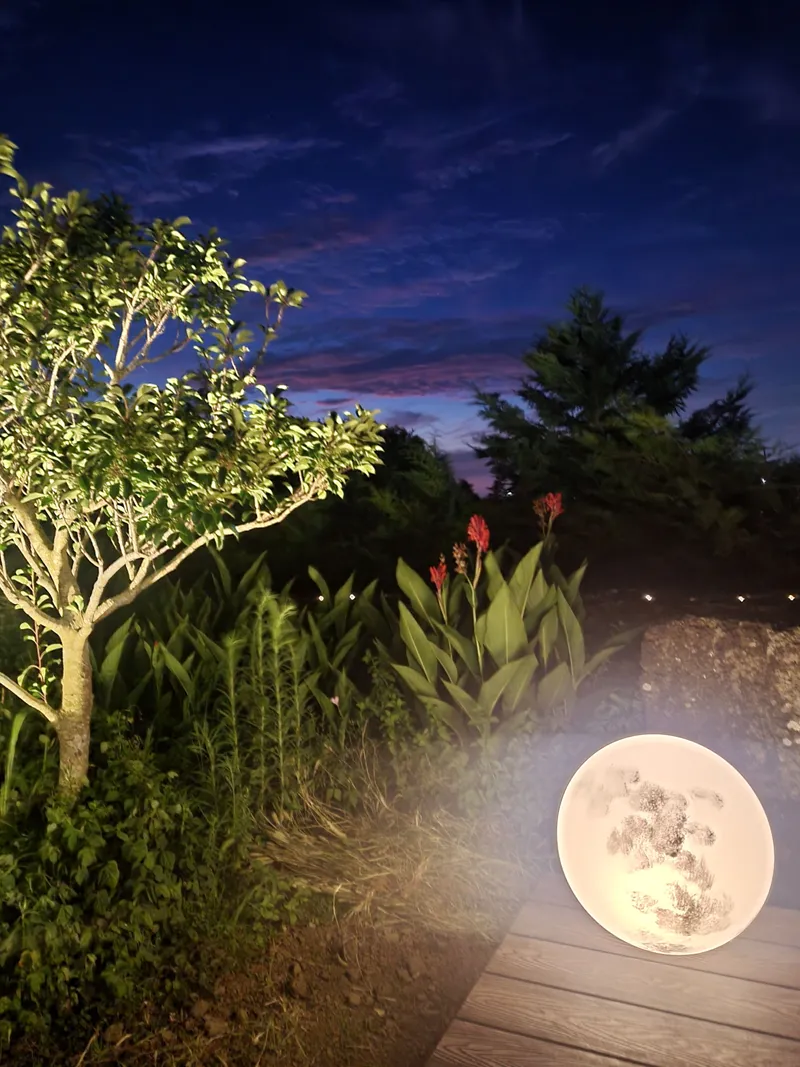 [Hallim, Jeju] Pet-friendly western-facing emotional lodging, private bunker for families 53