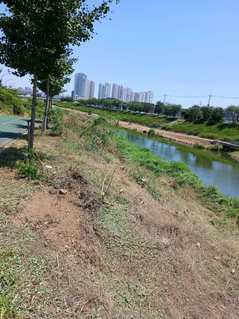 [경기 평택] 평택 원룸 주인세대 49
