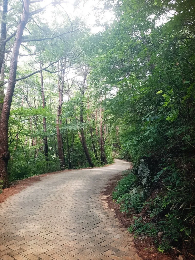 [전남 구례] 섬진강변 청정산골 황토구들방 반려동물가능 37