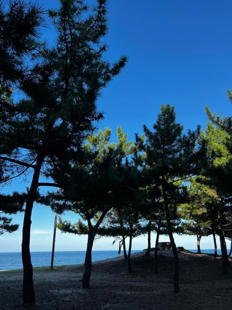 [강원 강릉] 바다 근처 초당동 24평 쓰리룸 아파트 59