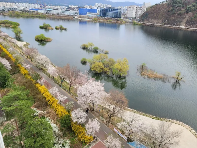 [Chuncheon][Chuncheon, Gangwon-do] Riverview Riverside Resort #Apartment embracing the Soyang River #Emotional accommodation #4 rooms, 56 pyeong 45