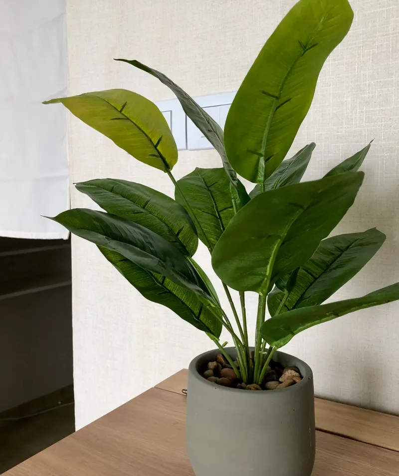 [Seongdong, Seoul] A large room with good sunlight in the immediate vicinity of Singeumho Station/Pets allowed/Women only 6