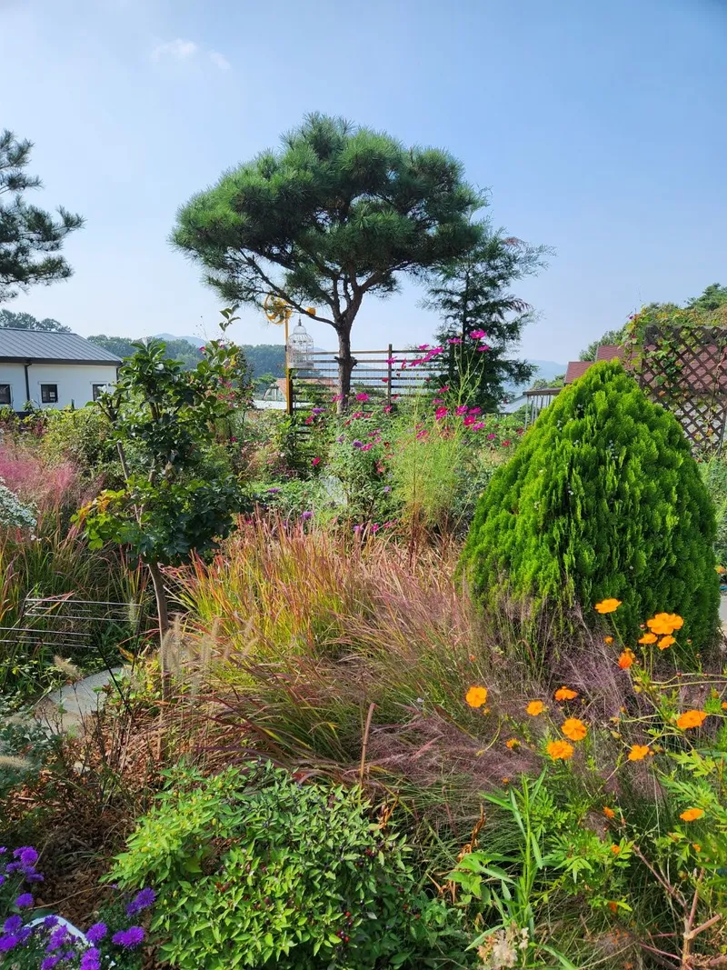 [Boryeong][Boryeong, South Chungcheong Province] A house with a beautiful garden 14