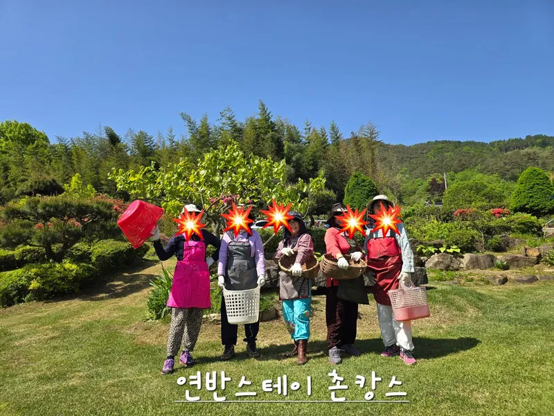 [전남 곡성] 섬진강 기차마을 대나무숲 마당넓은 애견동반 오직 한팀 펜션 125