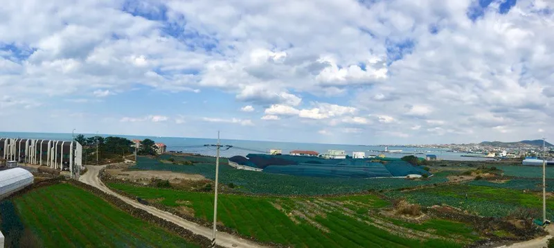 [제주 한림] (제주 애월) 건조기,정수기가 있는 곽지,협재근처 바다뷰(버스정류장1분) 6