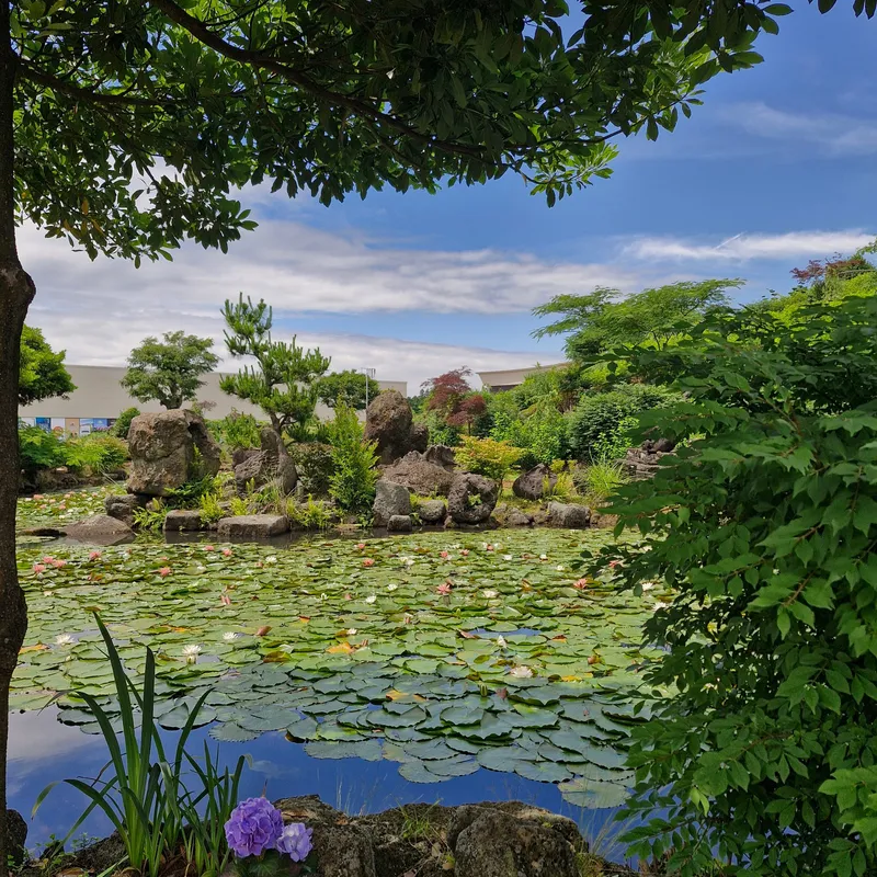 [Jocheon, Jeju] Cypress-tree lodging near the Hamdeok sea 38