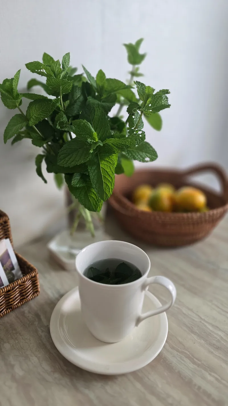 [Nohyeong-dong, Jeju] 10 minutes from the airport to the sea, 5 minutes from a large mart and hospital, safe and clean officetel 17