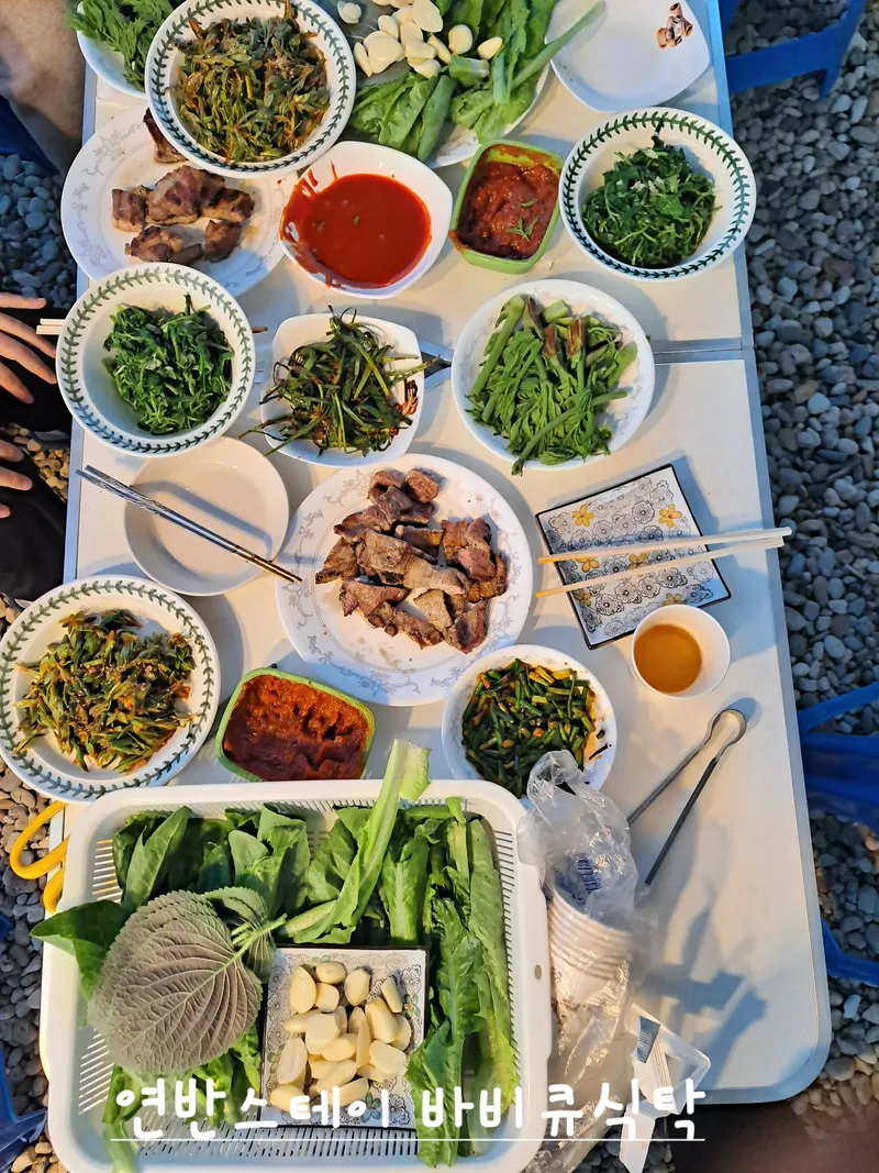 [전남 곡성] 섬진강 기차마을 대나무숲 마당넓은 애견동반 오직 한팀 펜션 140