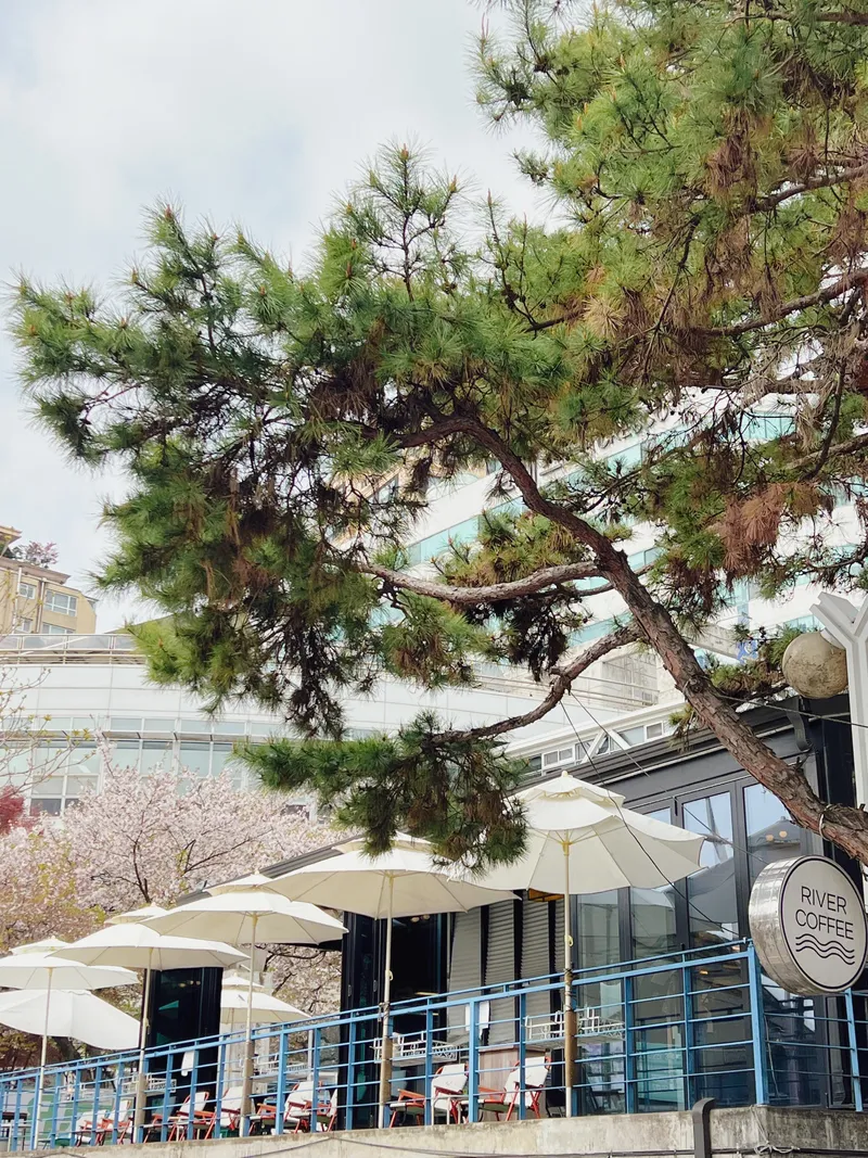 [서울 광진] 워커힐 한강뷰 파노라마 스페셜원룸 29