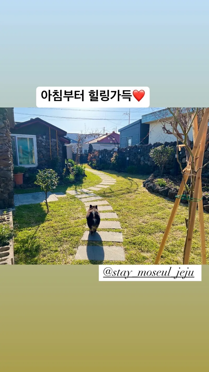 [서귀포 대정] 정원이 아름다운 프라이빗 독채 #애견동반#돌집#마당 83