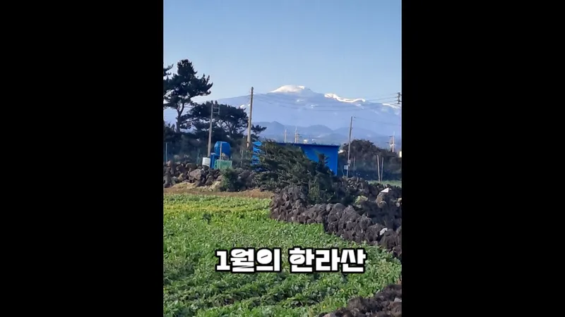 [Gujwa, Jeju] A detached house with a beautiful view of the sea, stone walls, and fields, 30 seconds from the entrance to the complex. 92
