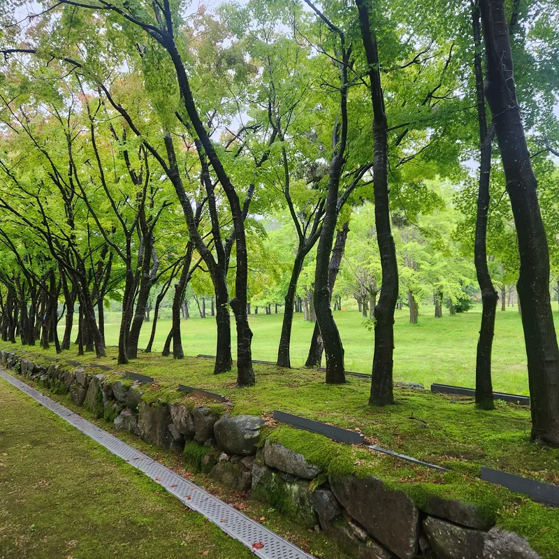 [울산 남구] 한달살기ㆍ출장ㆍ휴가딱인집 5