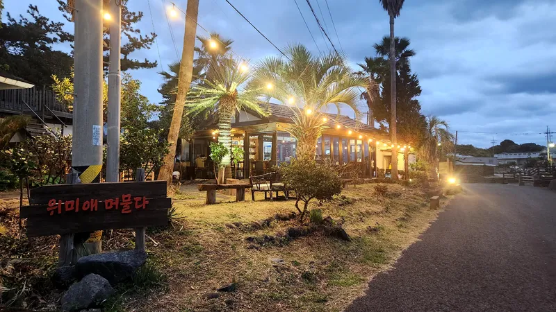 [Namwon, Seogwipo][Seogwipo Wimi] Detached Two-Room House with Yard, Old Jeju House, Tangerine Orchard 22