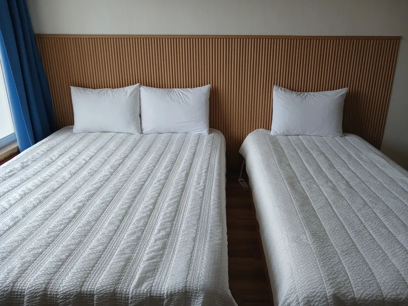 [Pyoseon, Seogwipo] Forest Garden View One-Room #203 10