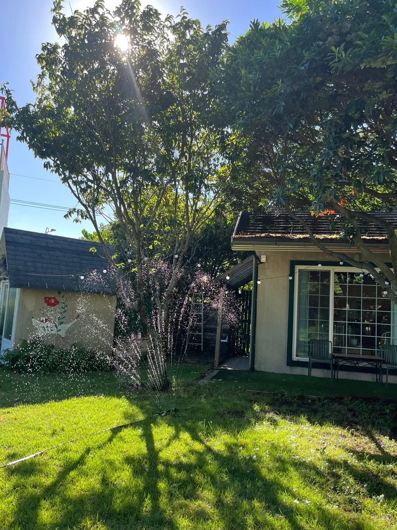 [Hallim, Jeju] 5-minute walk to Hyeopjae Beach, private house, dog-friendly, lawn yard, 37