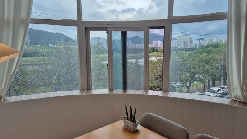 [울산 중구] 태화강 가든 (예쁜 산책로,벗꽃,낙엽,강뷰) 13