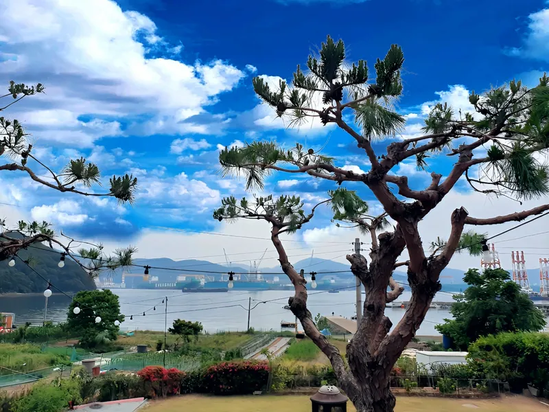 [Geoje] Ocean view detached house (country house) with pets allowed 15