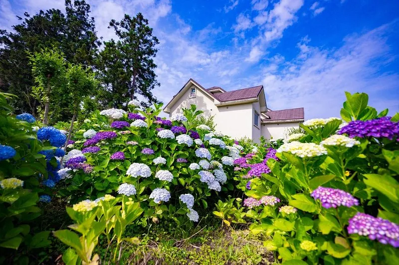 [Jocheon, Jeju] European-style accommodation perfect for a quiet rest #KidsPension #Duplex #TangerineExperience #FlowerGarden 11
