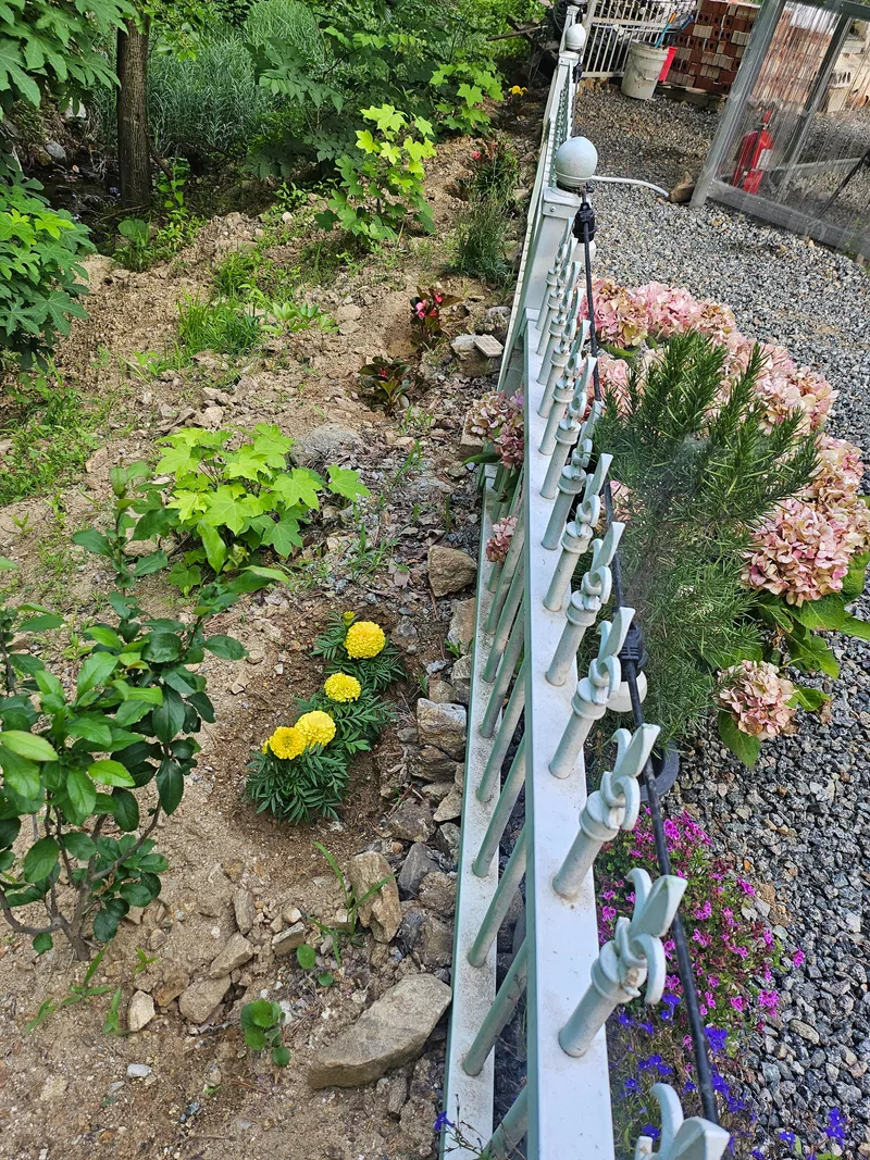 [Yangyang] Private, dog-friendly barbecue area 20 minutes from Hajodae near Beopsuchi Valley 35