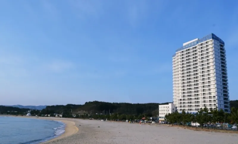 [Yangyang] 30-second walk to the beach / Frontal ocean view / Atmospheric accommodation with the sound of waves right in front 8