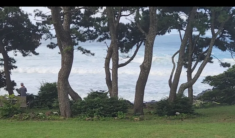 [Namwon, Seogwipo] A private house with the sea right in front of you 22