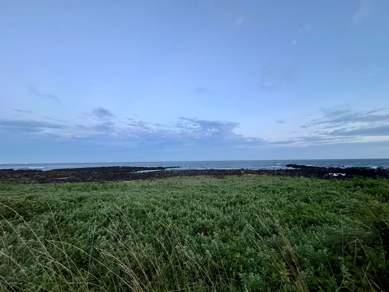 [Seongsan, Seogwipo] Ocean Gallery Premier House ☆ Panoramic ocean view in 1 second when you open your eyes ☆ 50 pyeong. 3 rooms 61