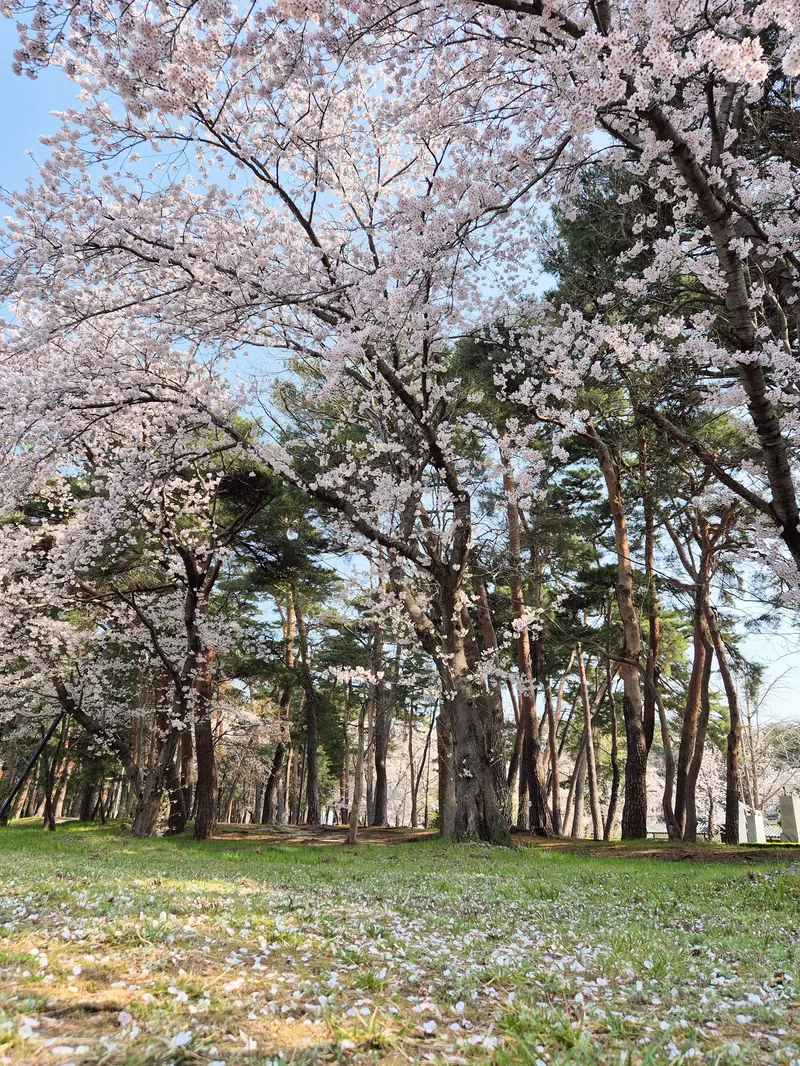 [Gangneung] Independent accommodation with good accessibility #Jungang Market #Ttukbokki (Netflix available) 59