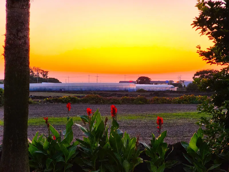 [Hallim, Jeju][Jeju Aewol] A quiet three-room country single-story house with a yard and a beautiful sunset 44