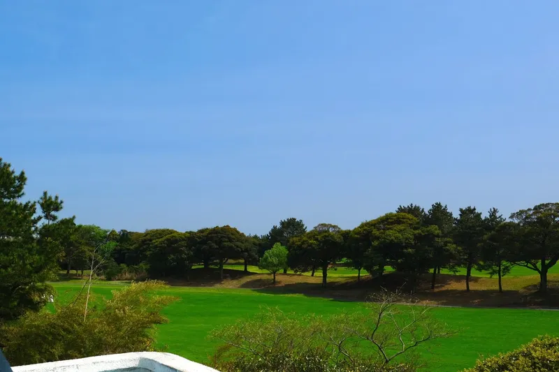 [제주 한림] 리조트12동 #단독건물# 반려동물가능#수영장#식당운영 24