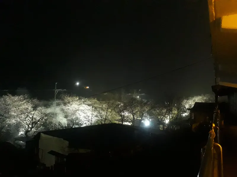 [경남 하동] 지리산 쌍계사 섬진강 화개장터 영호남의 장소 206호 12