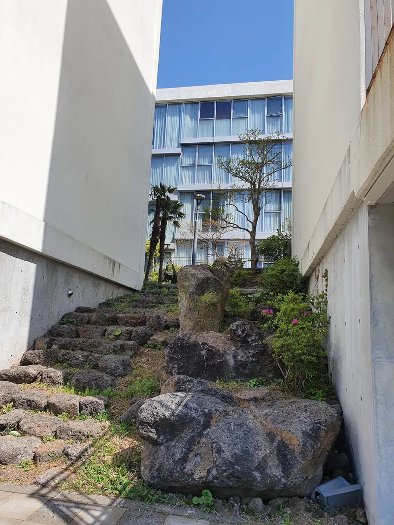 [Topyeong-dong, Seogwipo] Hallasan Mountain, Seogwipo Sea, panoramic views, comfortable relaxation (fully equipped) 14