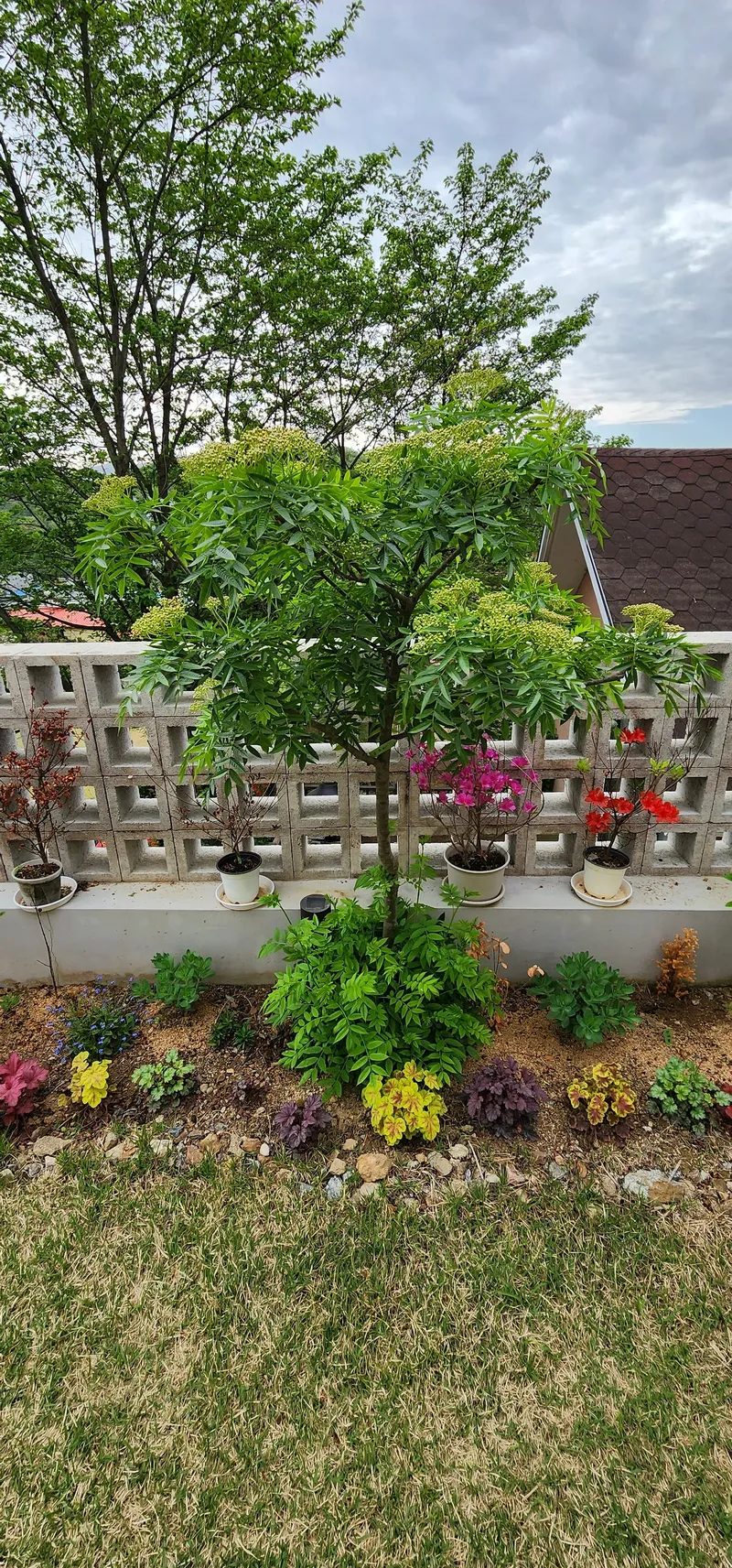 [Gwangju] House with a great view #25 minutes from Seoul #Pretty garden 16